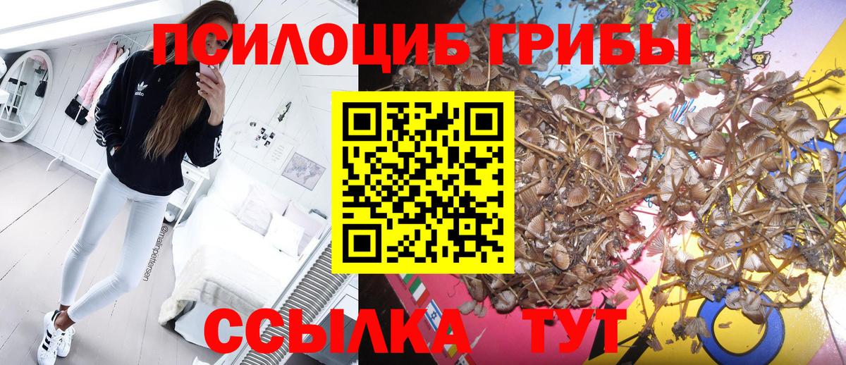 Нягань  Псилоцибиновые грибы MAGIC MUSHROOMS  Вход с VPN  где можно купить   Псилоцибиновые грибы Psilocybe 