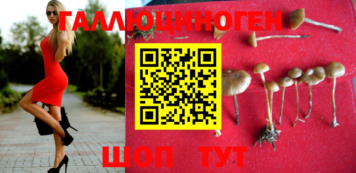 Псилоцибиновые грибы ЛСД Нягань